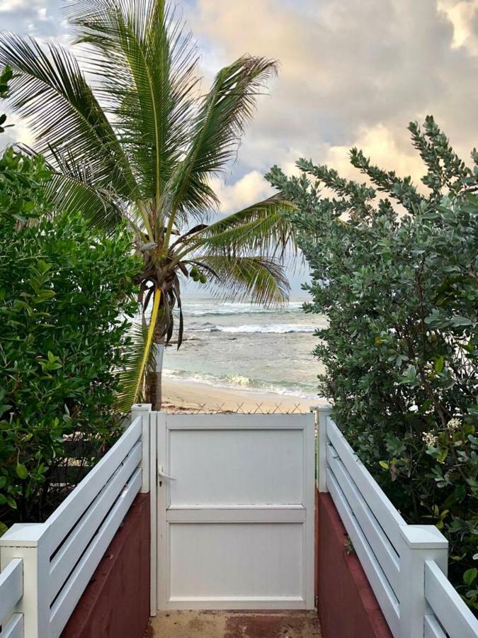 Appartement Au Bord de Mer Le Moule Buitenkant foto